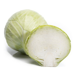 Короната F1 семена капусты белокочанной (Takii / Таки)