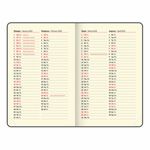 Ежедневник датированный 2025 МАЛЫЙ ФОРМАТ 100х150 мм А6, BRAUBERG "Iguana", под кожу, коричневый, 115743