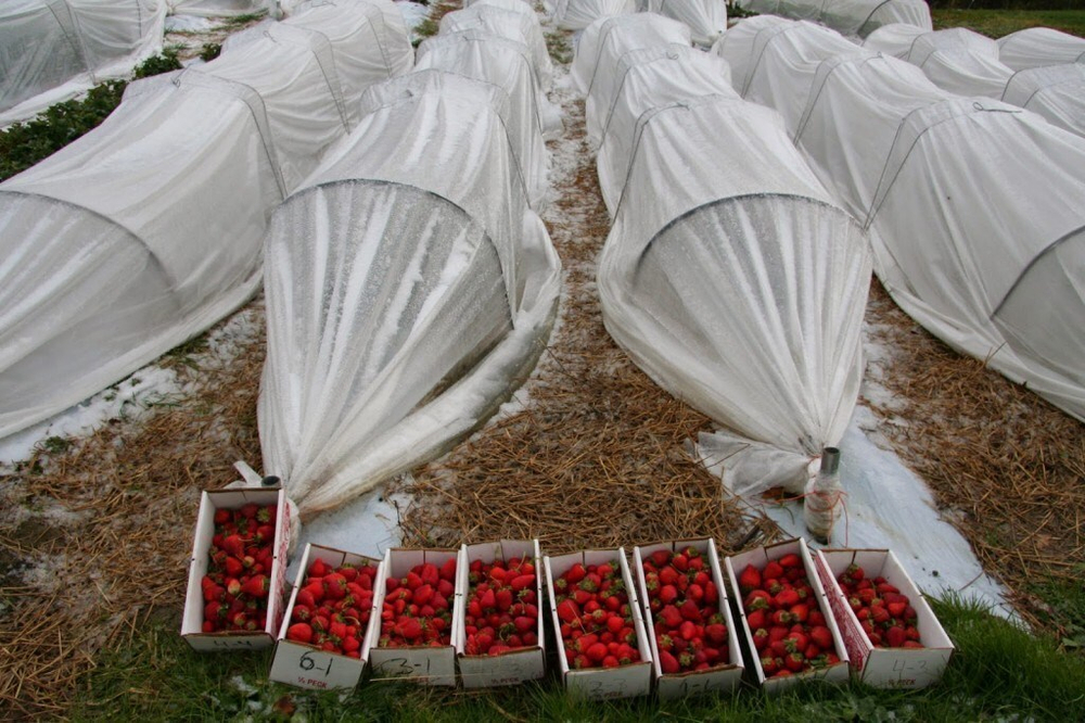 Укрывной материал Агротекс. Суф-30 3,2х10м