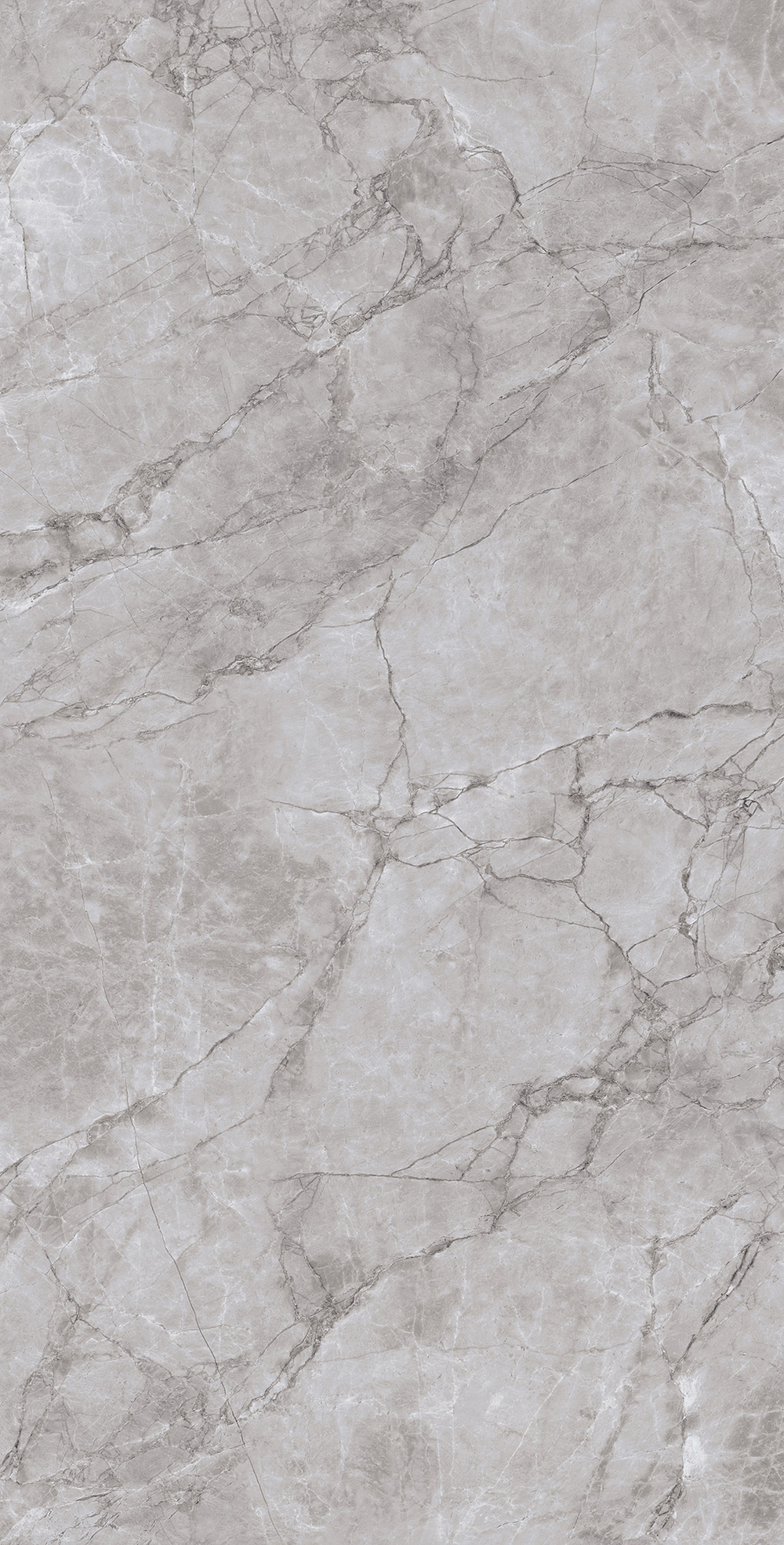 Керамогранит, Arcadia Ceramica, ARCTIC GREY LAPPATO, 1200x600 мм, лаппатированная