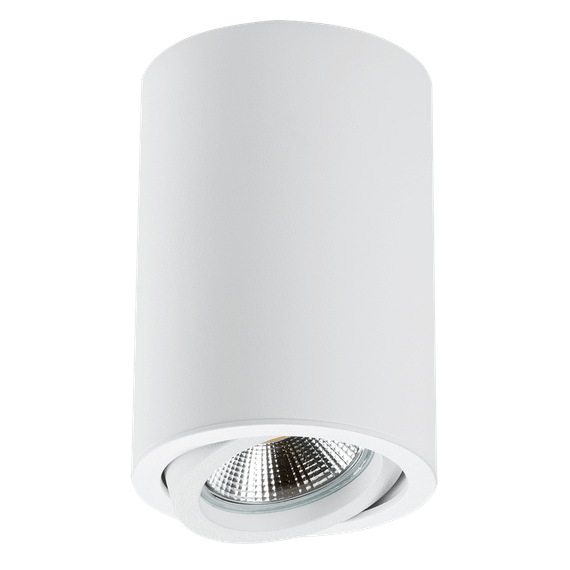 Потолочный светильник Lightstar Rullo 214406