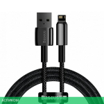 Кабель Baseus Tungsten Gold 2m Black (CALWJ-A01)