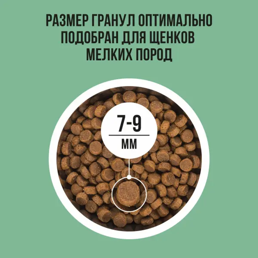 Bowl wow корм сухой для щенков мелких пород: индейка, рис, шпинат