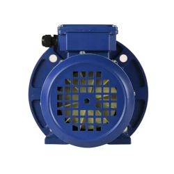 Электродвигатель трехфазный 5АИ 71 В2 IM 2081 1.1 кВт 3000 об/мин