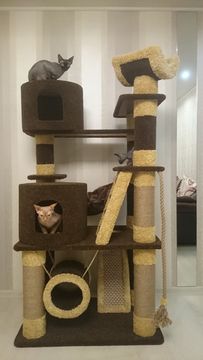 Комплекс для кошек Д-204