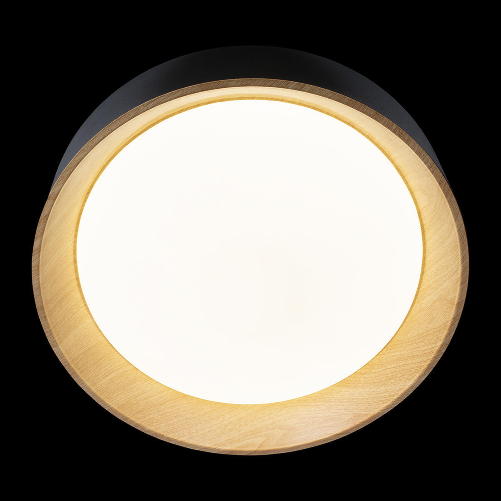 10202 Black Потолочный светильник LOFT IT Coin