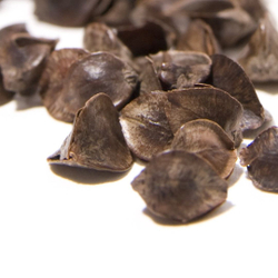 Подушка с наполнителем из гречишной лузги