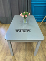 Большой кухонный стол "Макси", металлик