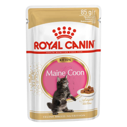 Royal Canin Maine Coon Kitten 85 г соус - консервы (пауч) для котят породы мейн-кун (кусочки)