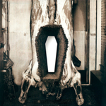 Metallica / Death Magnetic (Limited Edition)(5x12" Vinyl)