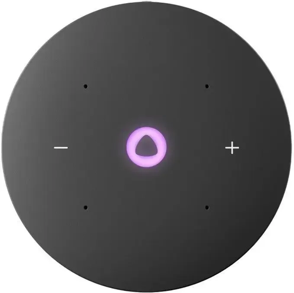 Умная колонка Яндекс Станция Мини 3 с Алисой gray