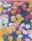Bloknot \ Блокнот \ Notebook Paperblanks  Monet's Chrysanthemums/ Monet's Chrysanthemums Midi I Lined