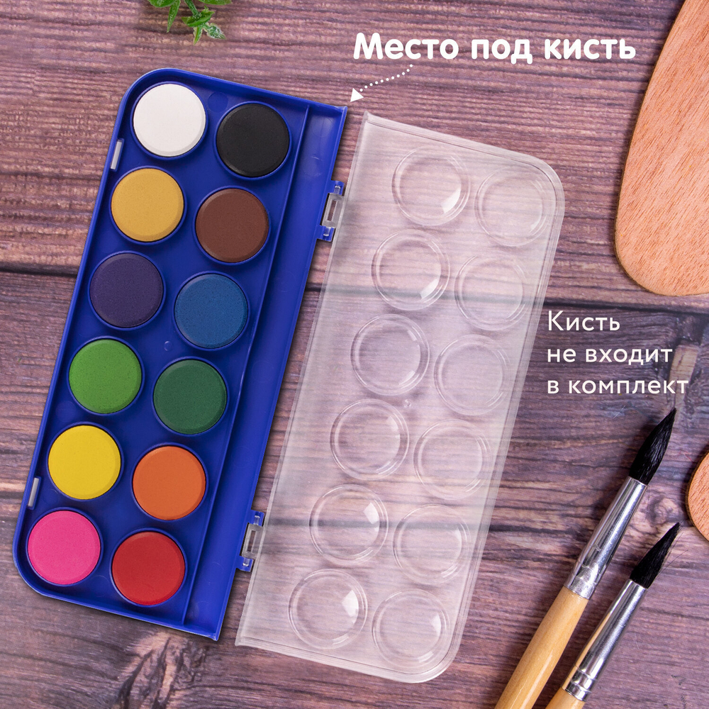 Краски акварельные BRAUBERG "PREMIUM" 12 цветов круглые кюветы 28 мм пенал (12 штук в упаковке)