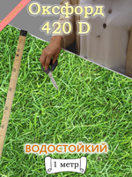 Оксфорд с принтом 1 метр №1 420 D