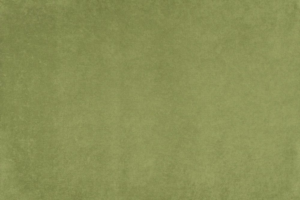 Микровелюр Phlox (Флокс) 12