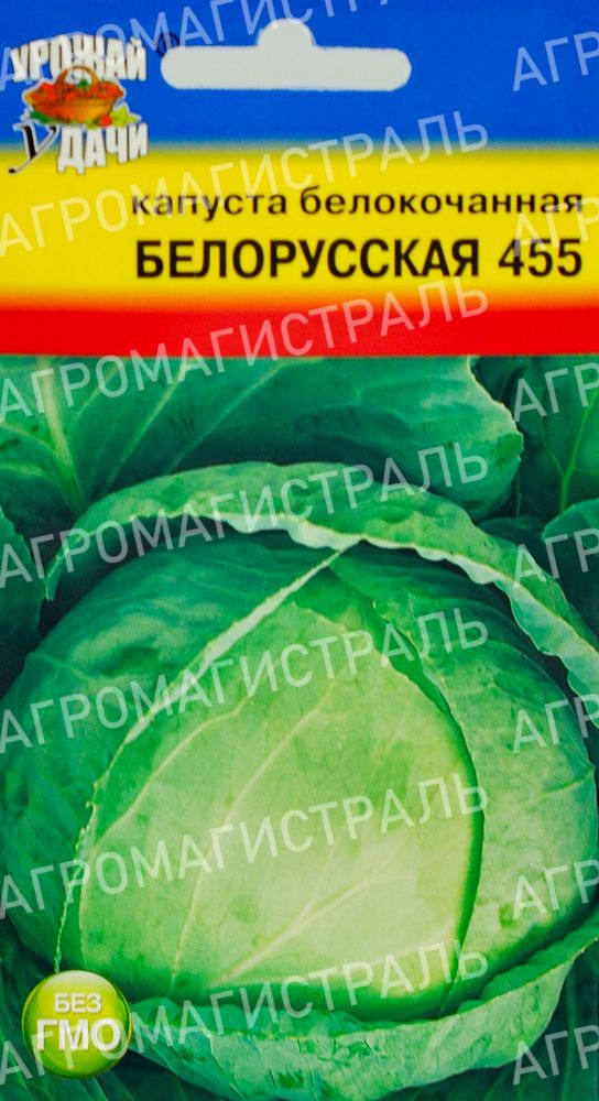 Капуста Белорусская Урожай у дачи Ц