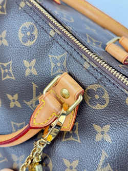 Сумка Louis Vuitton Speedy 30