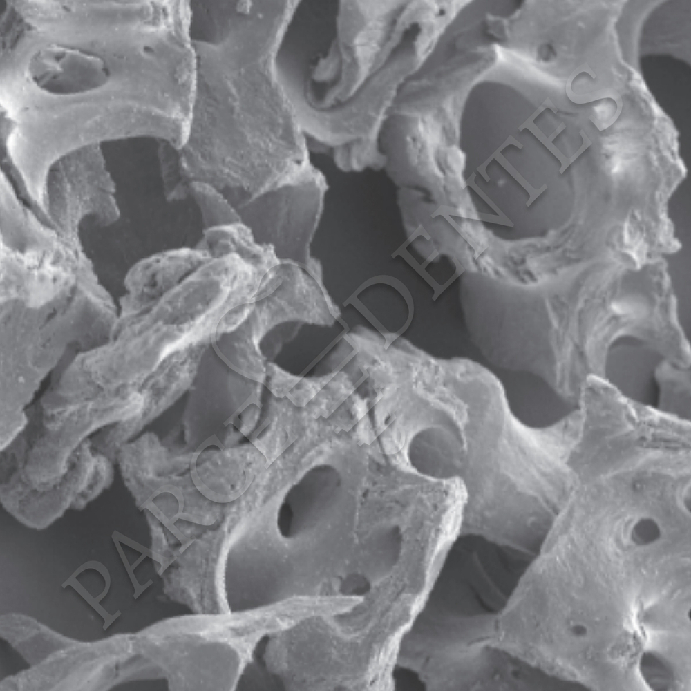 Губчатые гранулы Xenograft Mineral для регенерации костной ткани
