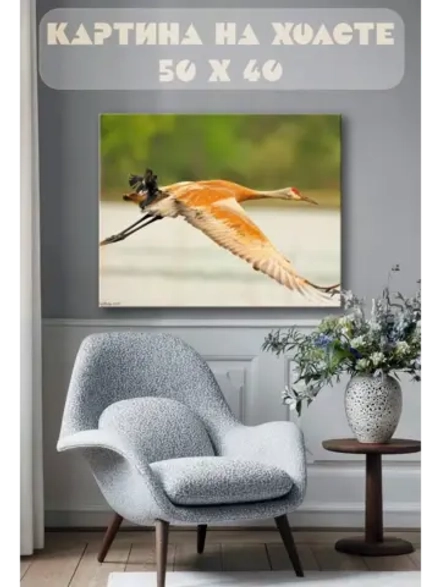 Картина на стену 40 X 50 Птицы