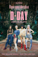 Альбом BLACKPINK - How You Like That Single Album Special Edition