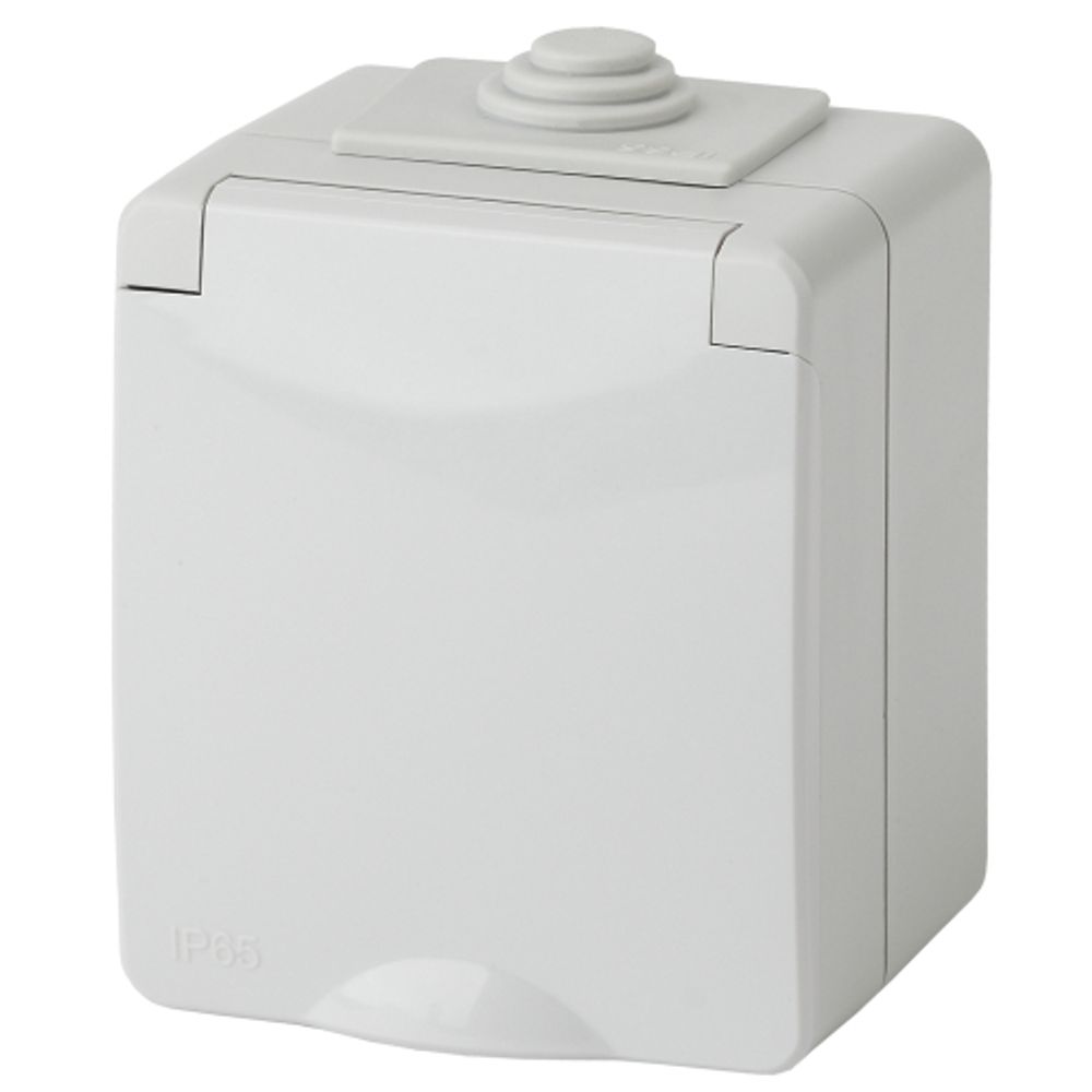 11-2601-03 ЭРА Розетка 2P+E IP65, 16A-250В, ОУ, серый | Эра Эксперт
