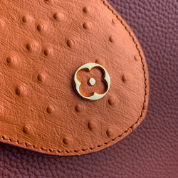 Louis Vuitton Capucines Mini