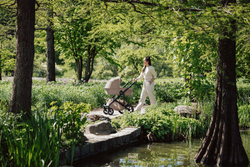 Детская коляска Britax Roemer Smile 5Z Style 2 в 1 Teak