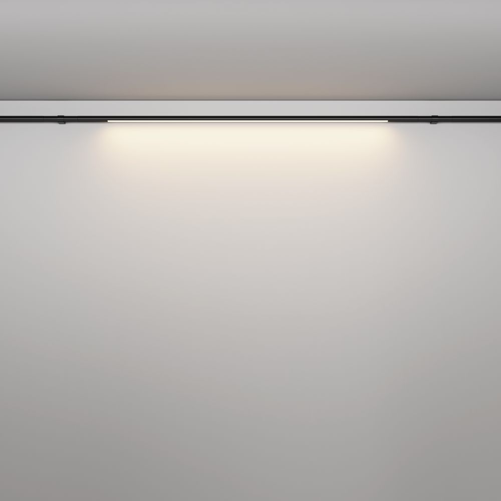 Трековый штанговый светодиодный светильник Maytoni Axity Basis C100CL-L1000-24W3-6K-B