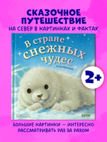 Книжки-картинки. В стране снежных чудес