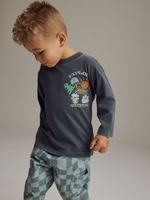 Лонгслив для мальчика Next B74-593, Темно-серый