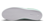Кроссовки Nike Sb Ishod
