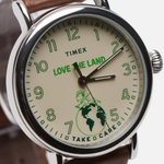 Мужские наручные часы Timex TW2V32800