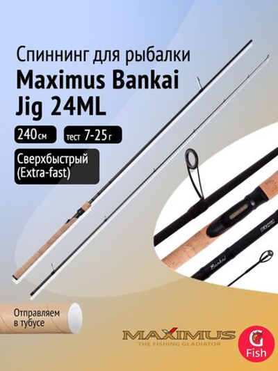 Спиннинг для рыбалки Maximus Bankai Jig 25XH, 2,5 м, 40-90 г