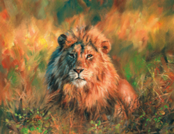 Коллекция Животные