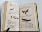 "Жизнь насекомых". Луи Фигье. 1869г. - антикварное издание