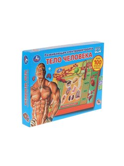 Электровикторина тело человека более 100 вопросов и ответов