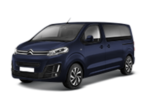 Рейлинги на Citroen Space Tourer