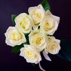 Flower bouquet of 7 Russian white roses