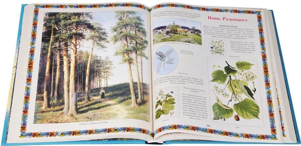 Иллюстрированный календарь русской природы. В.П. Бутромеев. Подарочное издание