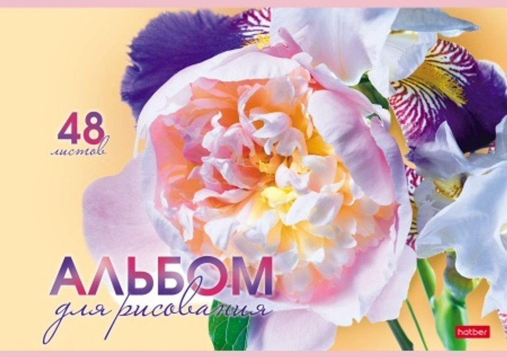 k562hdl894ezdo5het19xezeidnk6su2