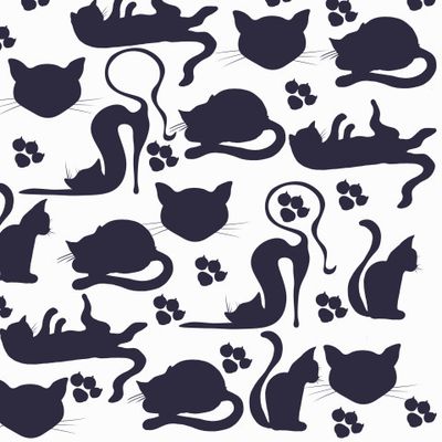 черные коты на белом фоне