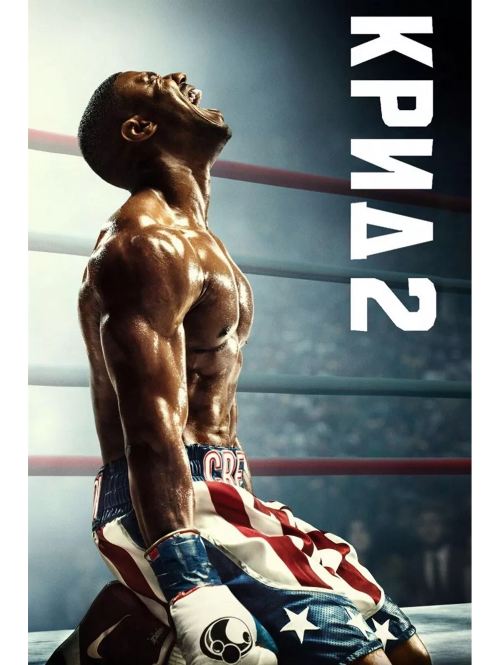 Крид 2 (2018) (DVD-R)