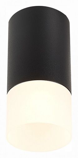 Накладной светильник ST-Luce ST100 ST100.412.01