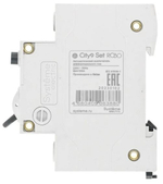 Автомат дифференциальный Systeme Electric C9D55625