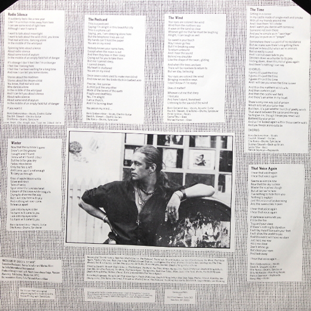 Boris Grebenshikov / Radio Silence (LP)