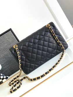 Chanel Bag 25 cm