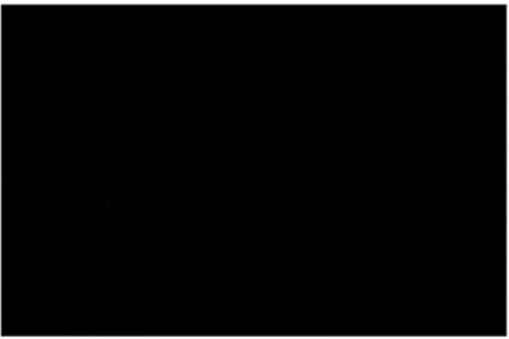 Фон бумажный FST 2,72x11 1009 Black (Черный)