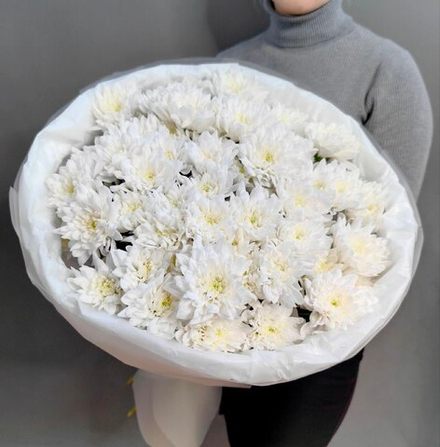 Букет из 11 кустовых хризантем сорта "BALTICA WHITE"