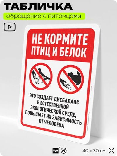 Табличка "Не кормите птиц и белок" на дверь и забор, для двора, дома, подъезда, 40х30 см, Silver Plane x Айдентика Технолоджи