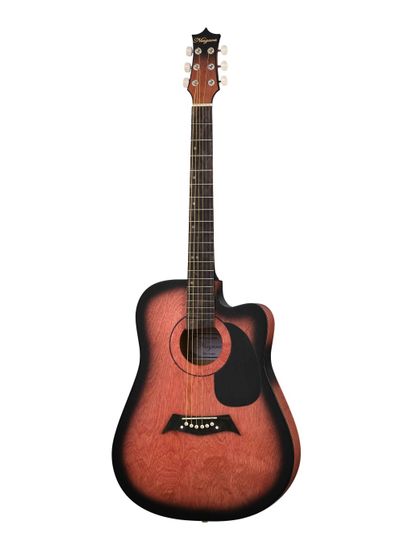 Акустическая гитара, Niagara ACS-C41WRS